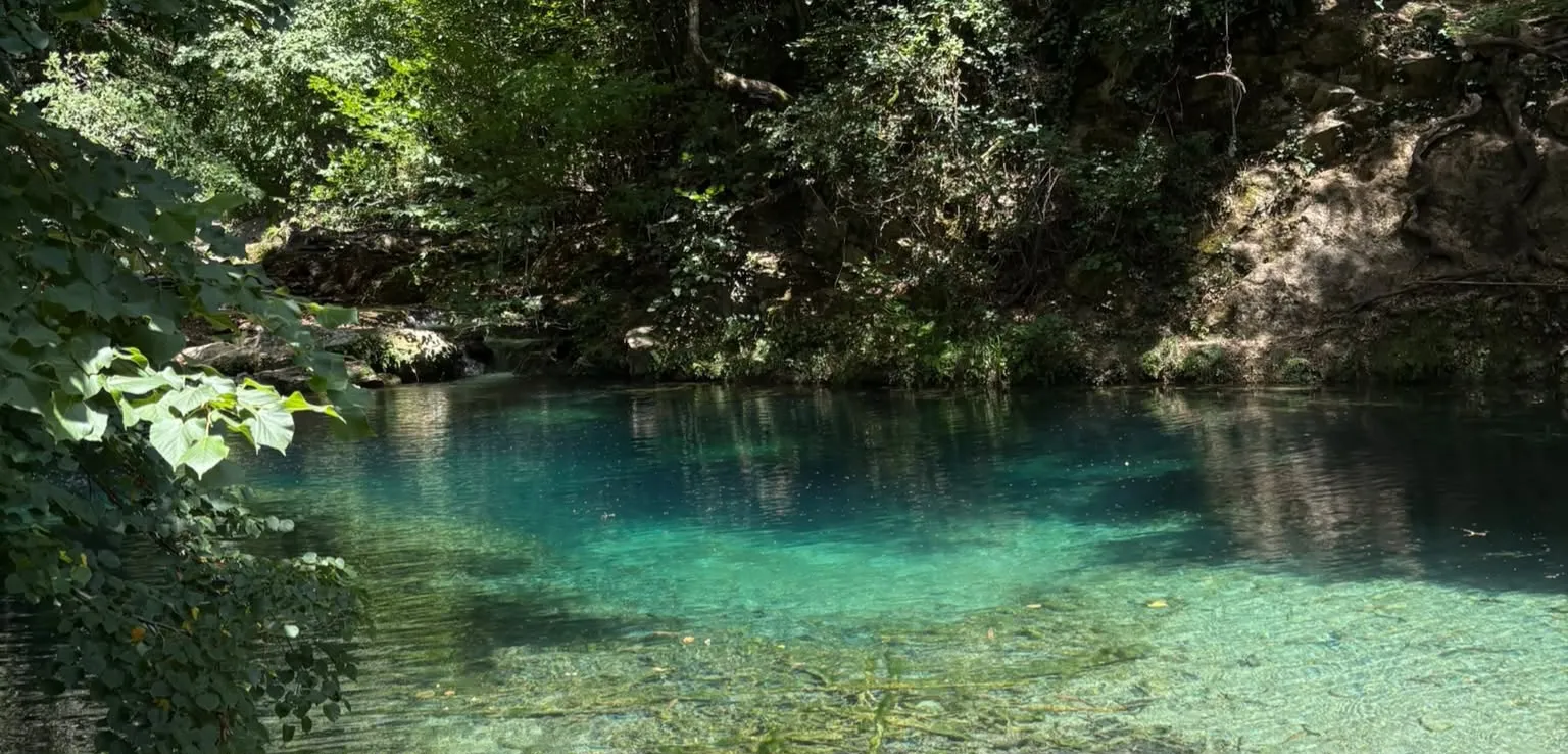 Paisaje natural con agua cristalina y vegetación